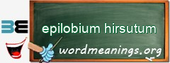 WordMeaning blackboard for epilobium hirsutum